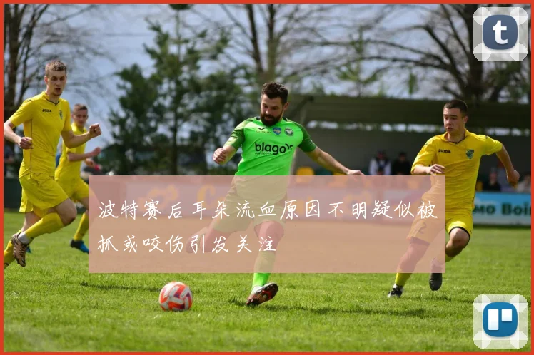 波特赛后耳朵流血原因不明疑似被抓或咬伤引发关注