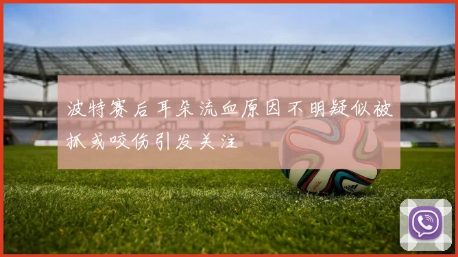 波特赛后耳朵流血原因不明疑似被抓或咬伤引发关注